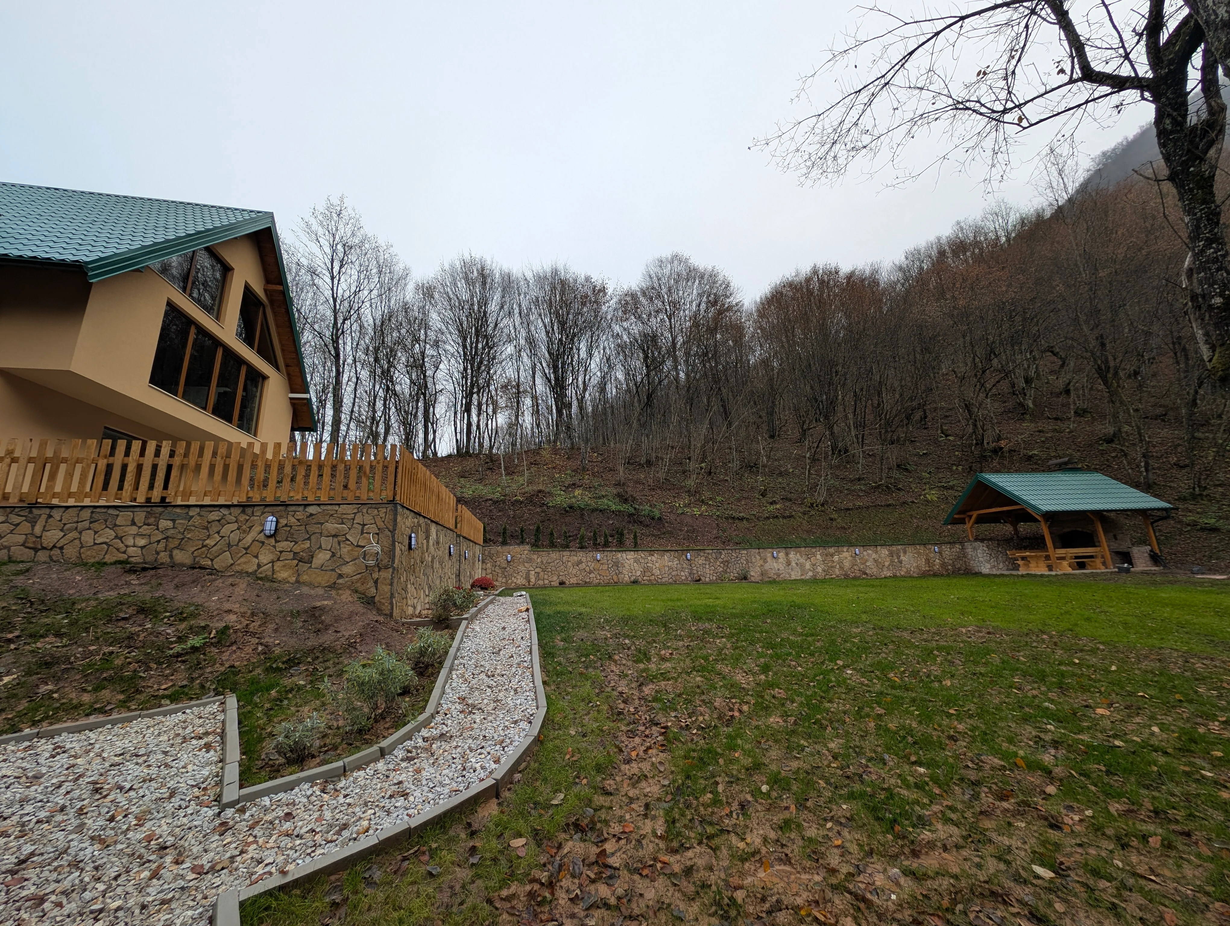 Panoramic forest view